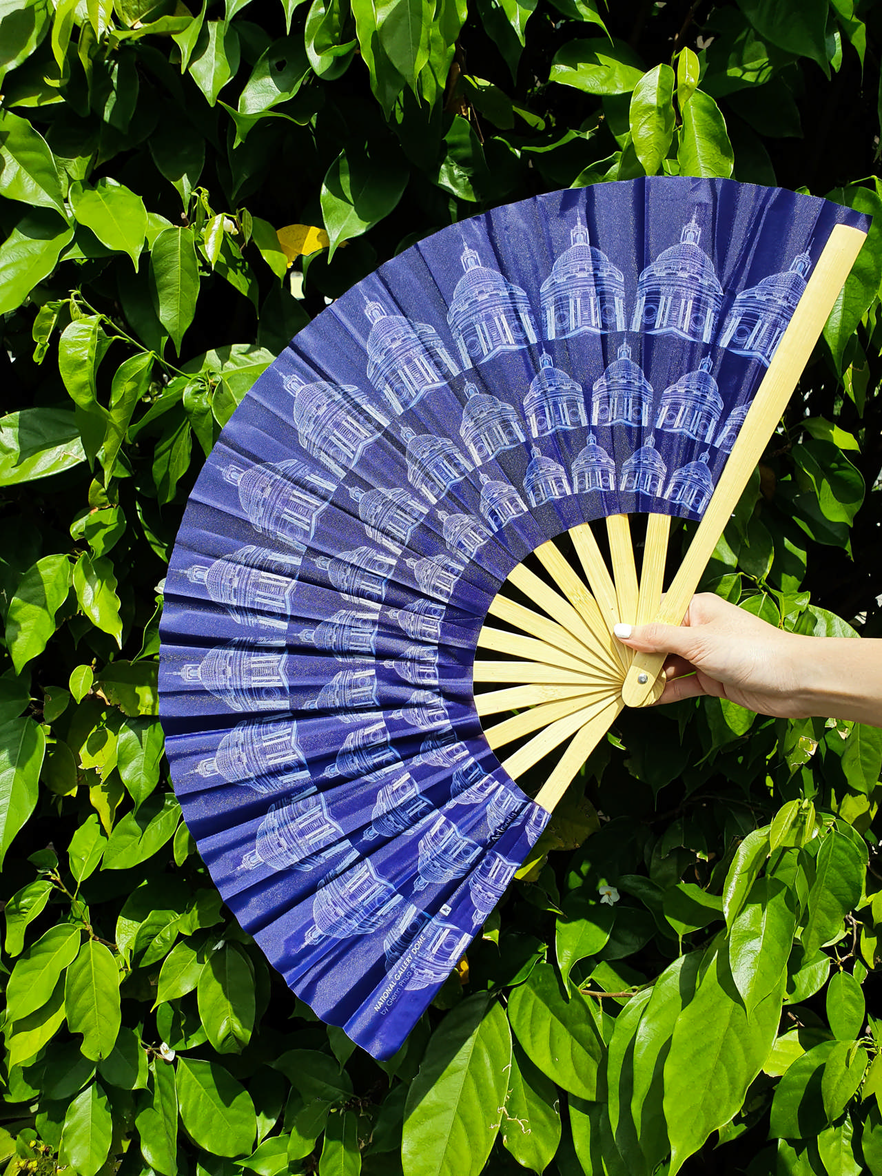 XL Fan – National Gallery Dome