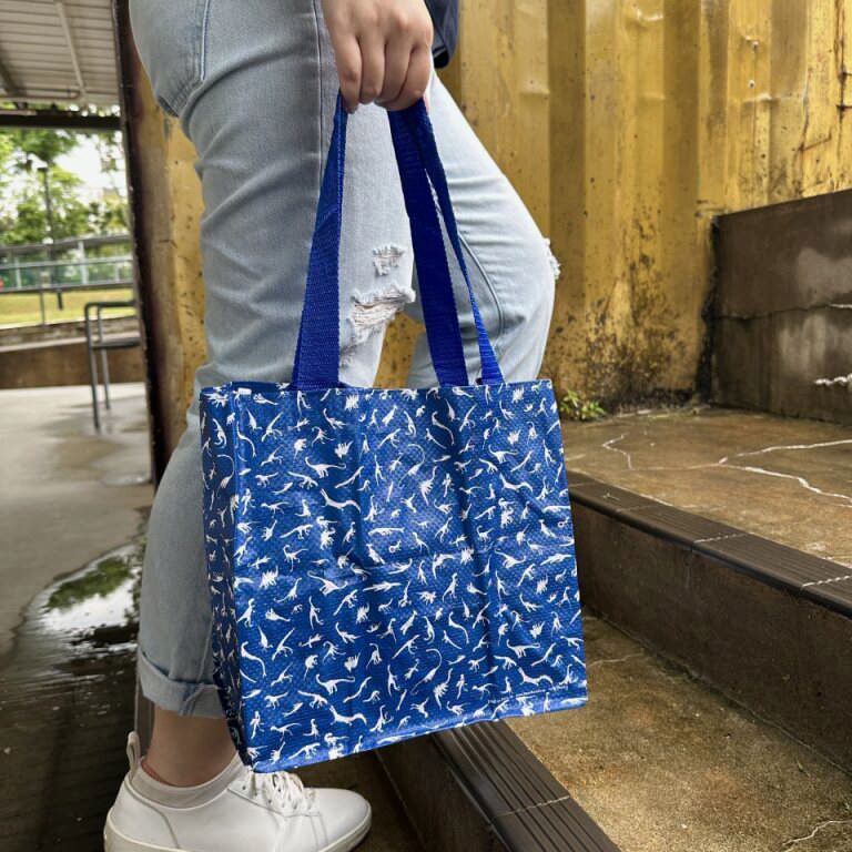 Petite Shopping Bag – Dino Navy